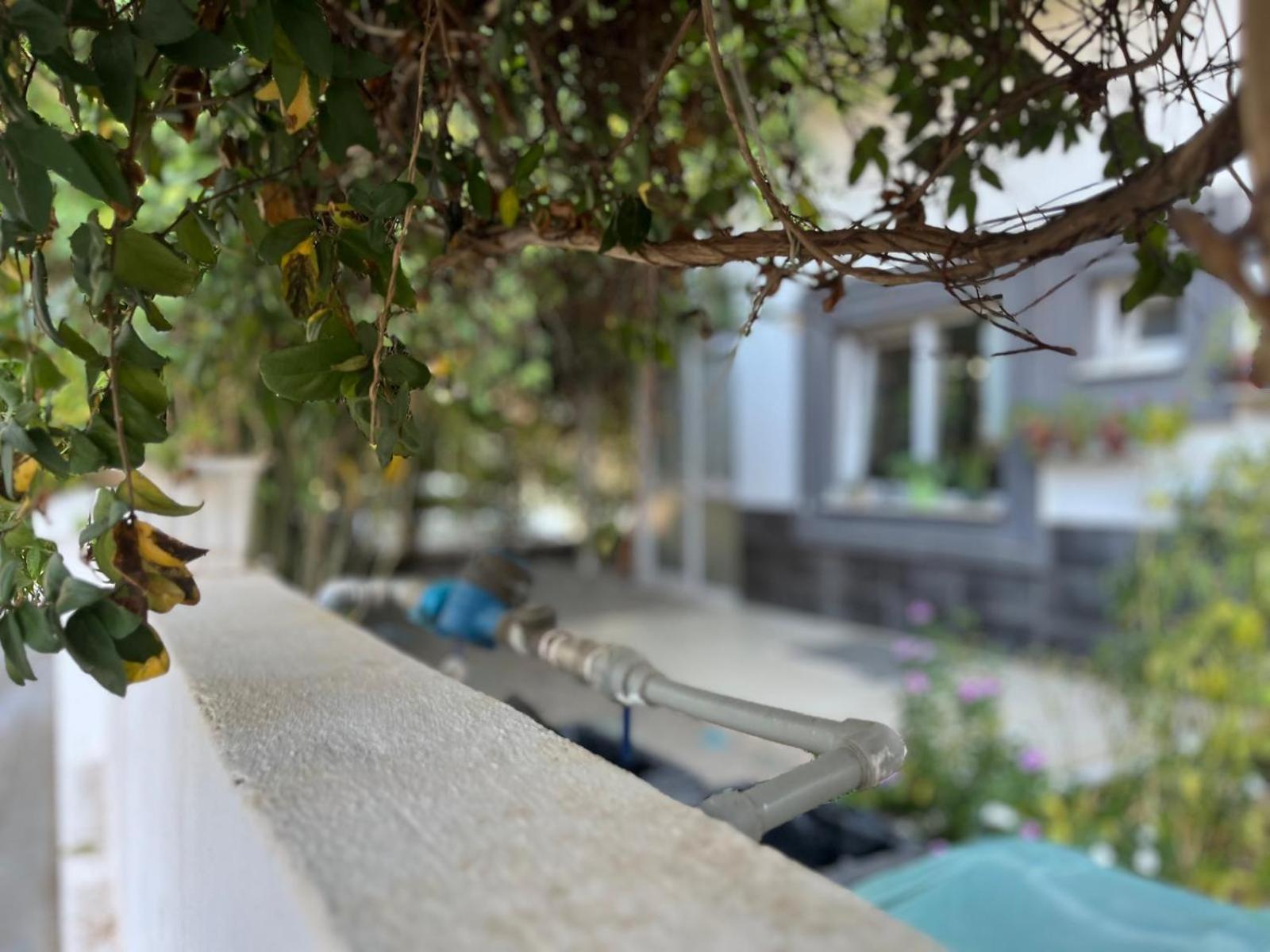 Aparthotel Begonvil Garden *