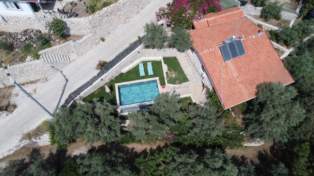 Stone House With Pool Among Olive Trees In Kabak *