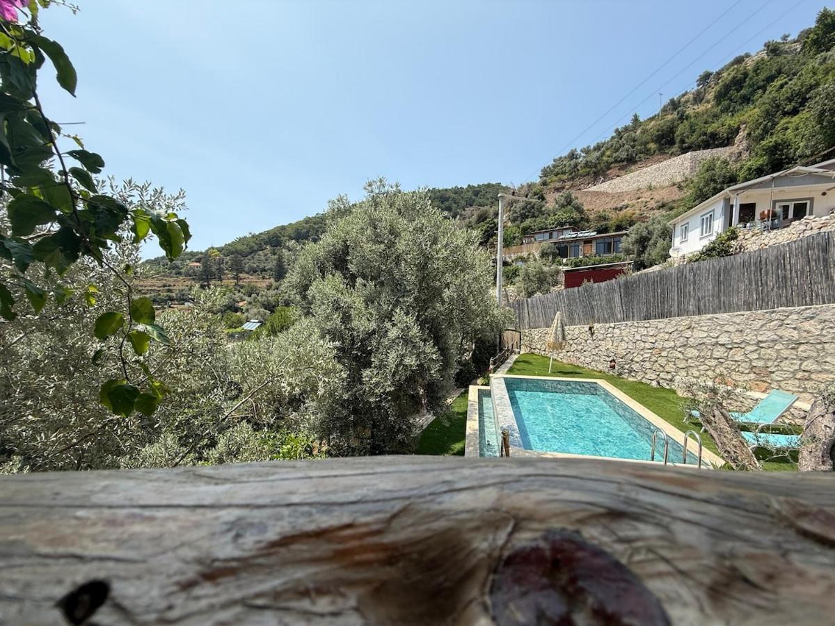 Villa Stone House With Pool Among Olive Trees In Kabak
