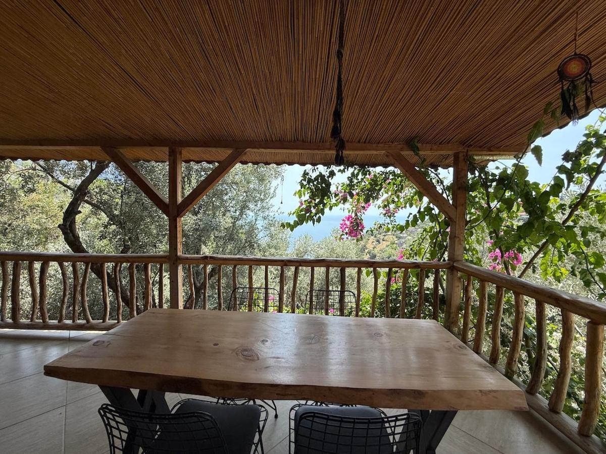 Stone House With Pool Among Olive Trees In Kabak Villa