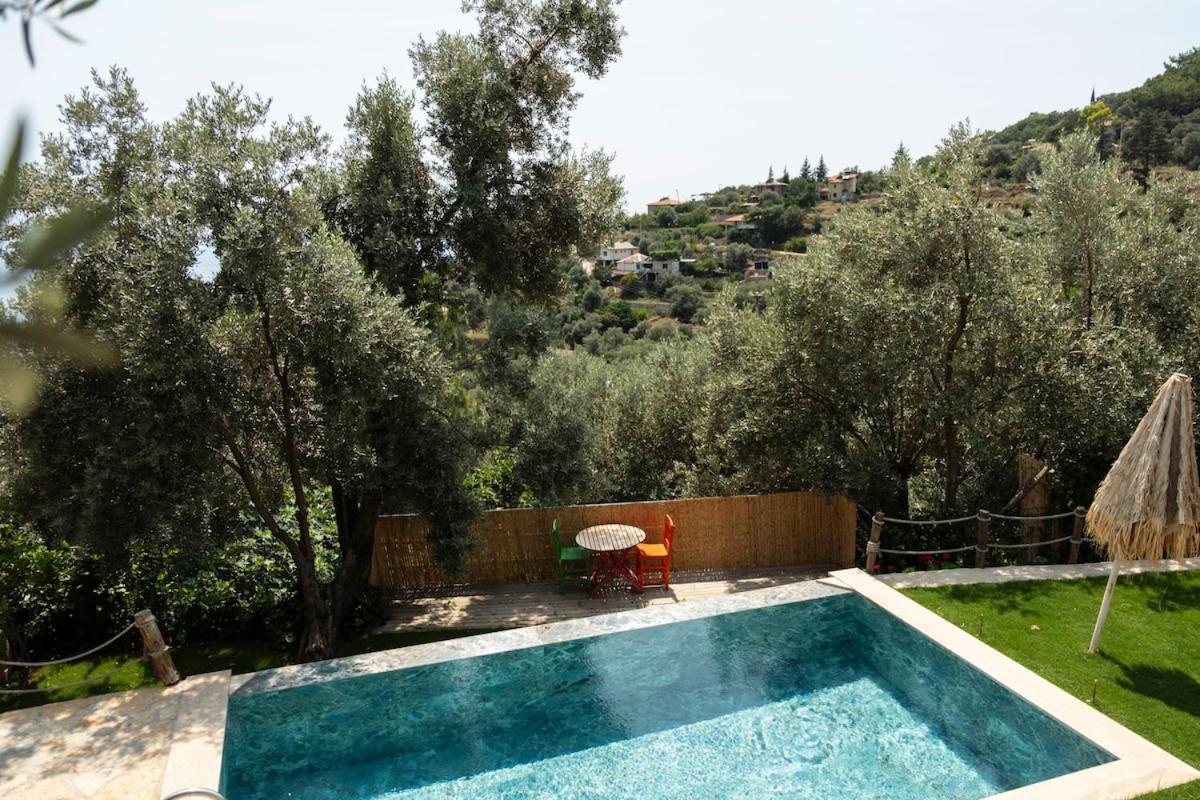 Stone House With Pool Among Olive Trees In Kabak Villa
