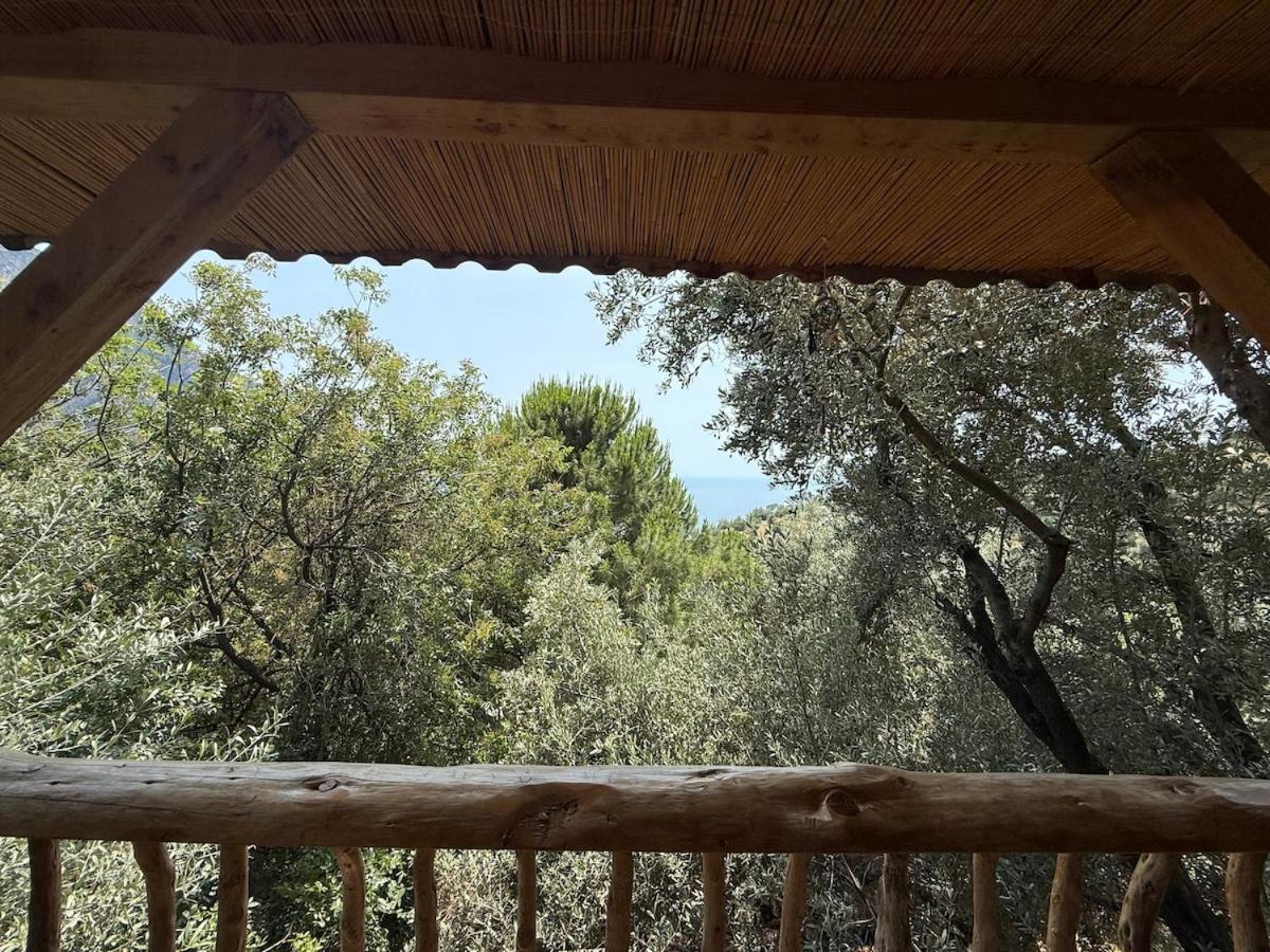 Stone House With Pool Among Olive Trees In Kabak Villa Fethiye