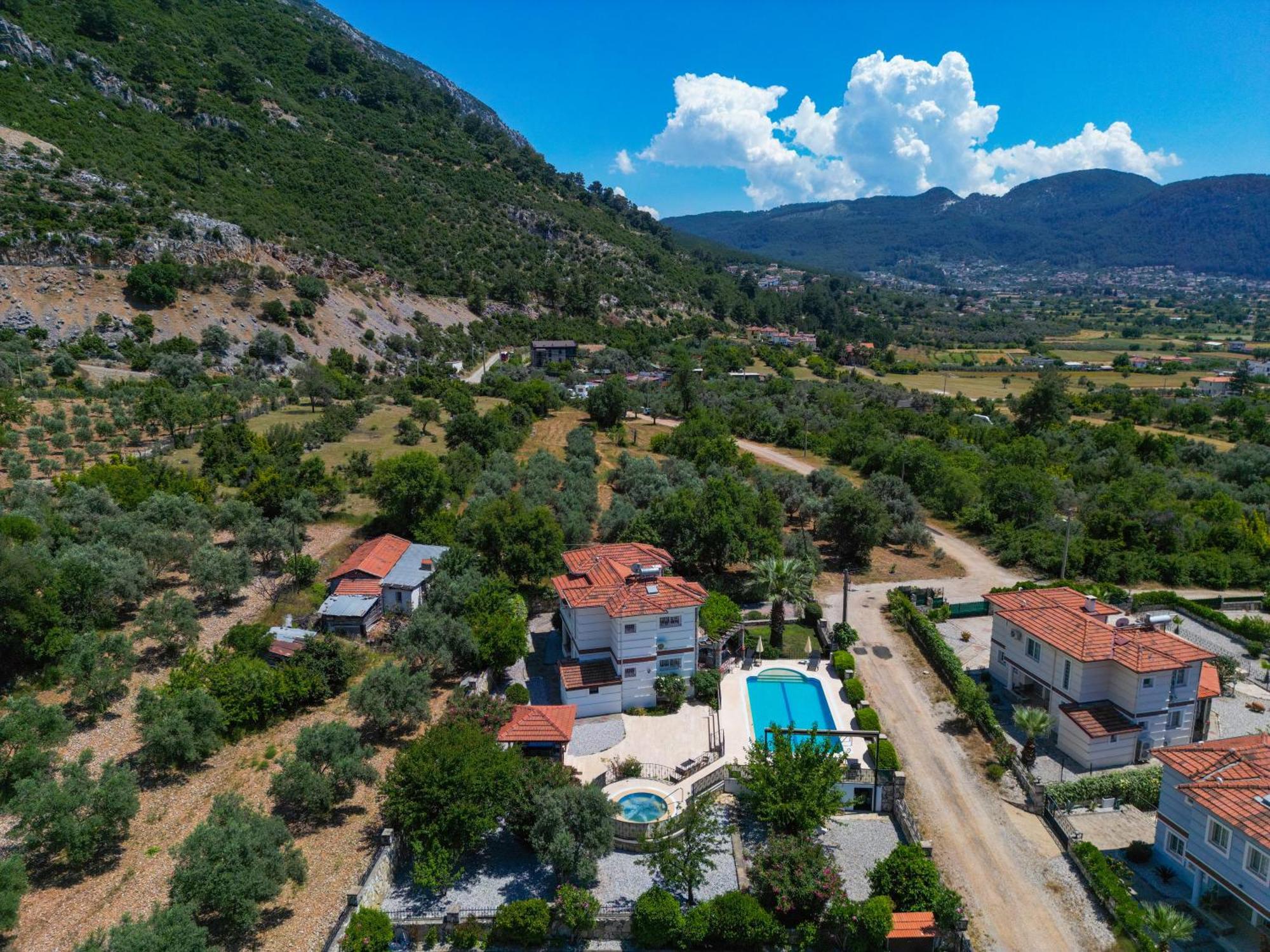 Elwyn * Fethiye
