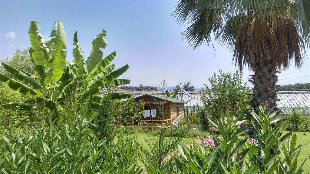 Yesil Bahce Bungalow - Ahsap Evler Fethiye
