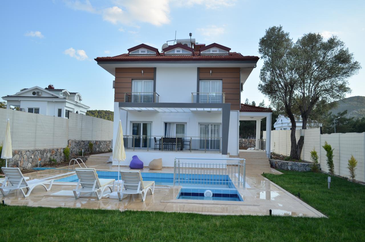 Villa New Age Lilya Hisar *