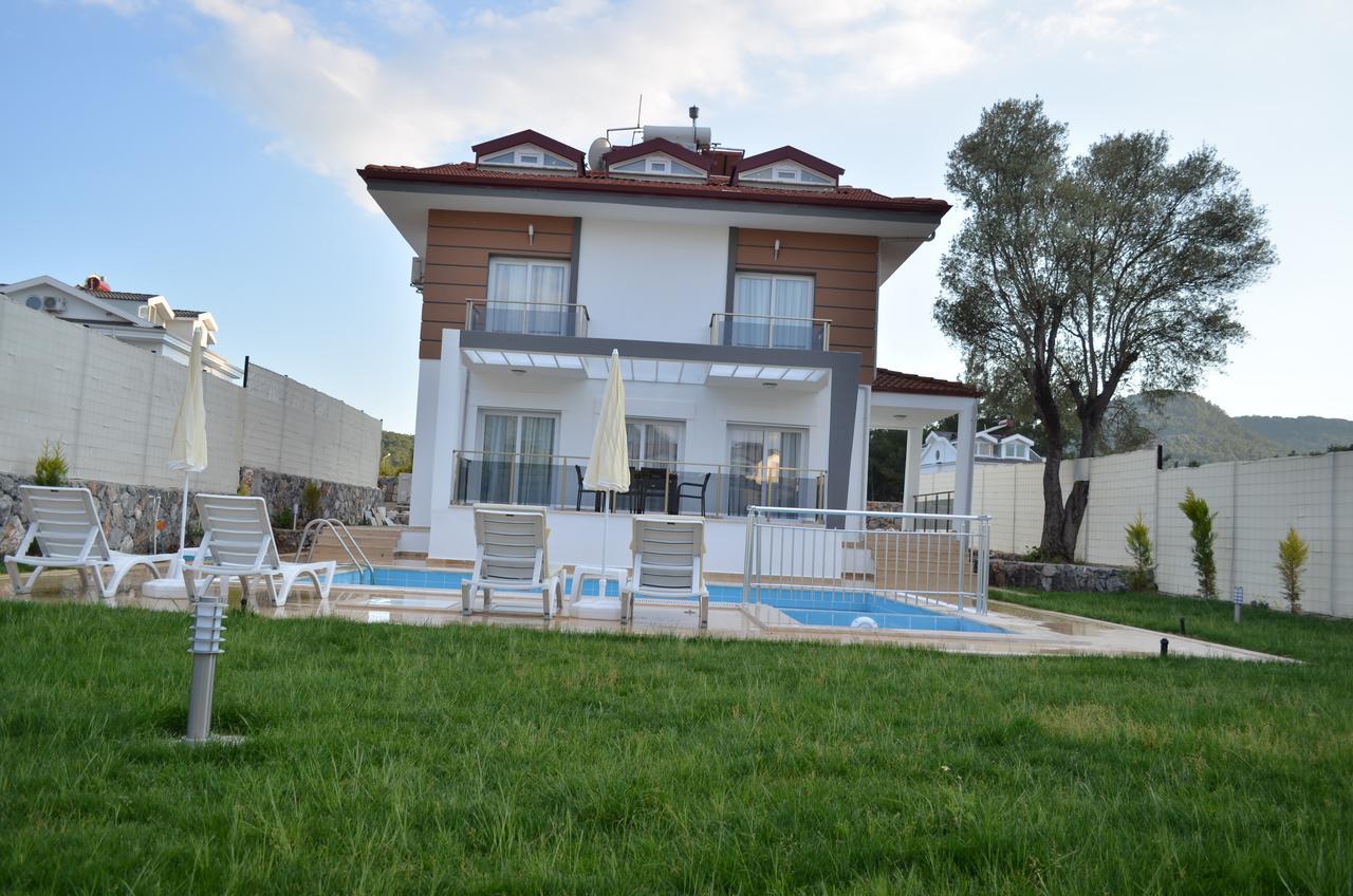 New Age Lilya Hisar *