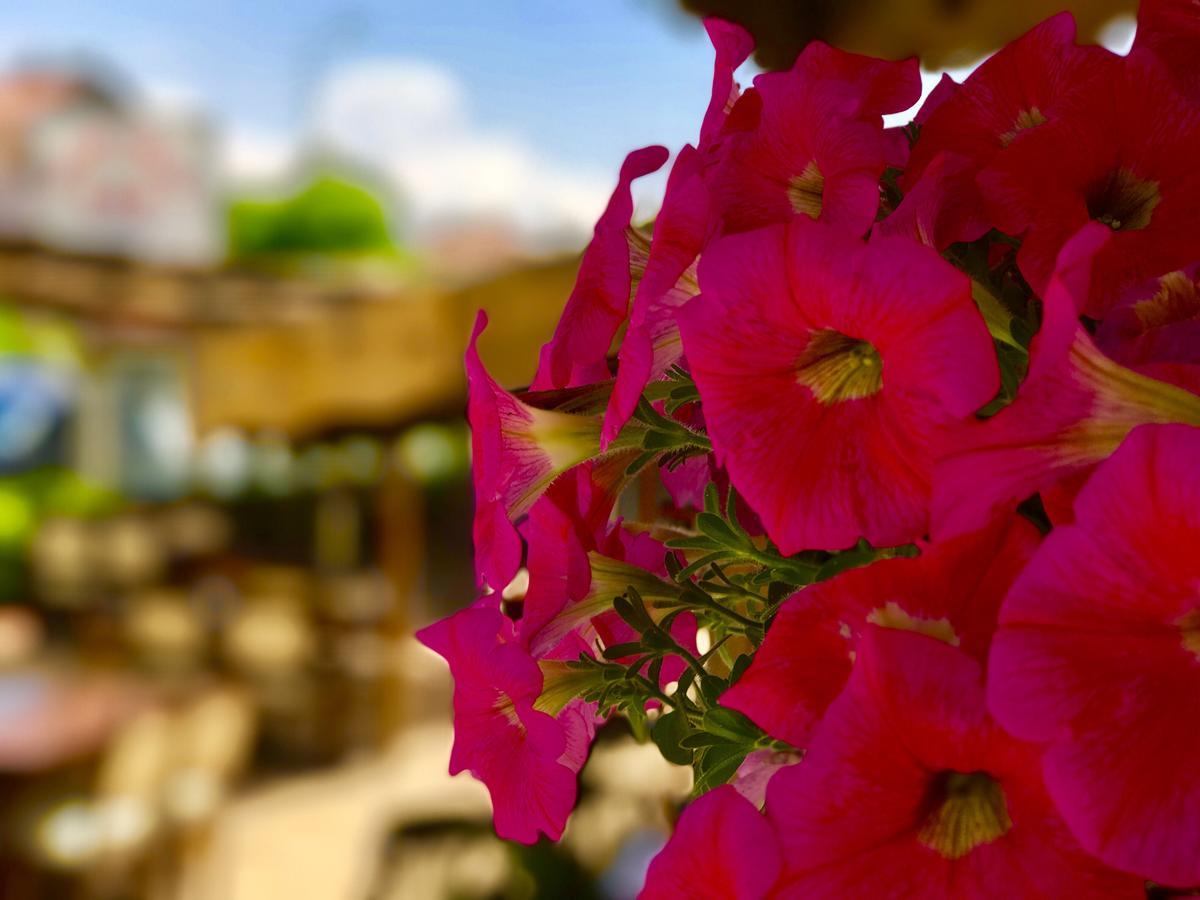 Nehir Aparthotel