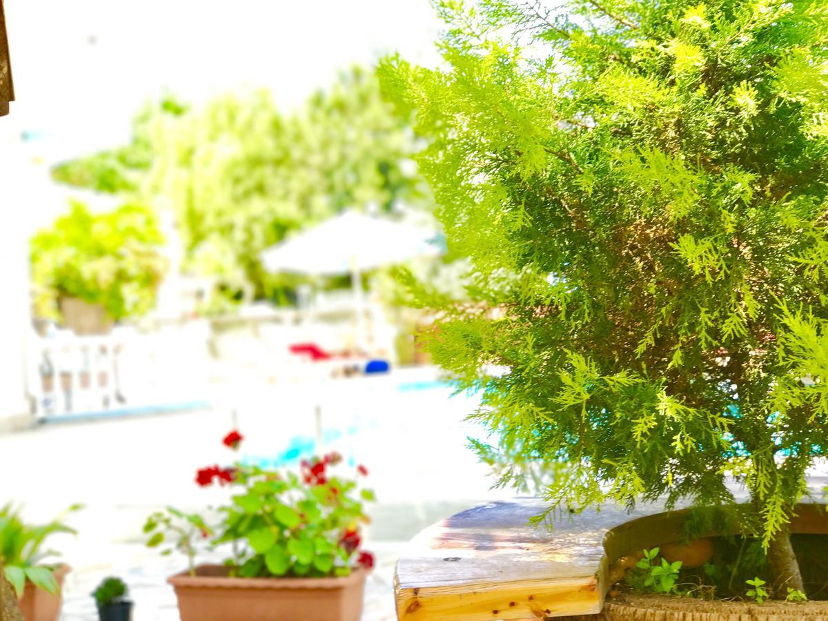 Aparthotel Nehir 3*