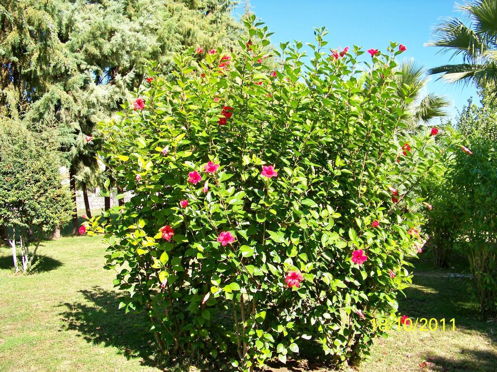 Hotel Club Turkuaz Garden Adult Only