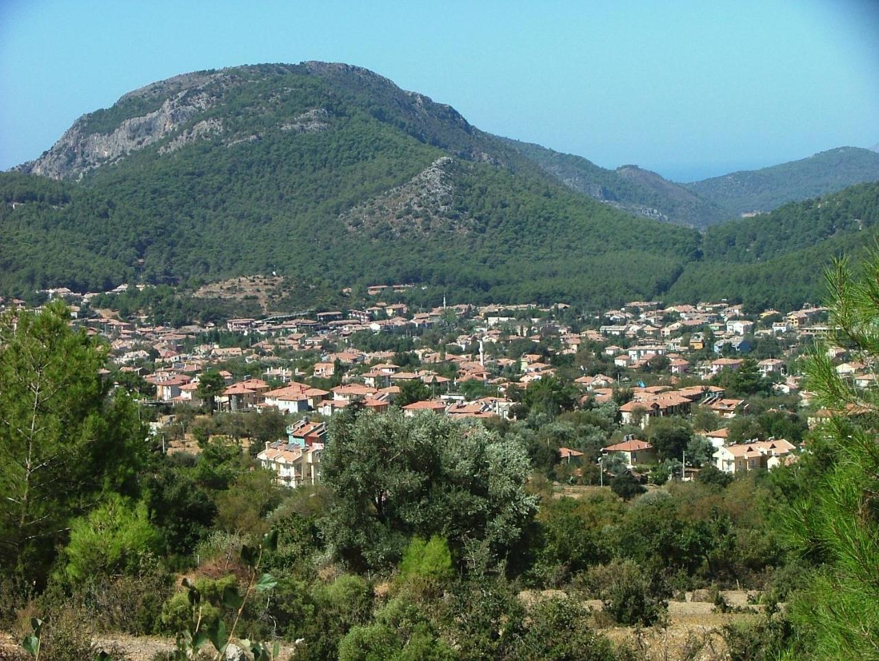 Infinity Olympia Daire Fethiye
