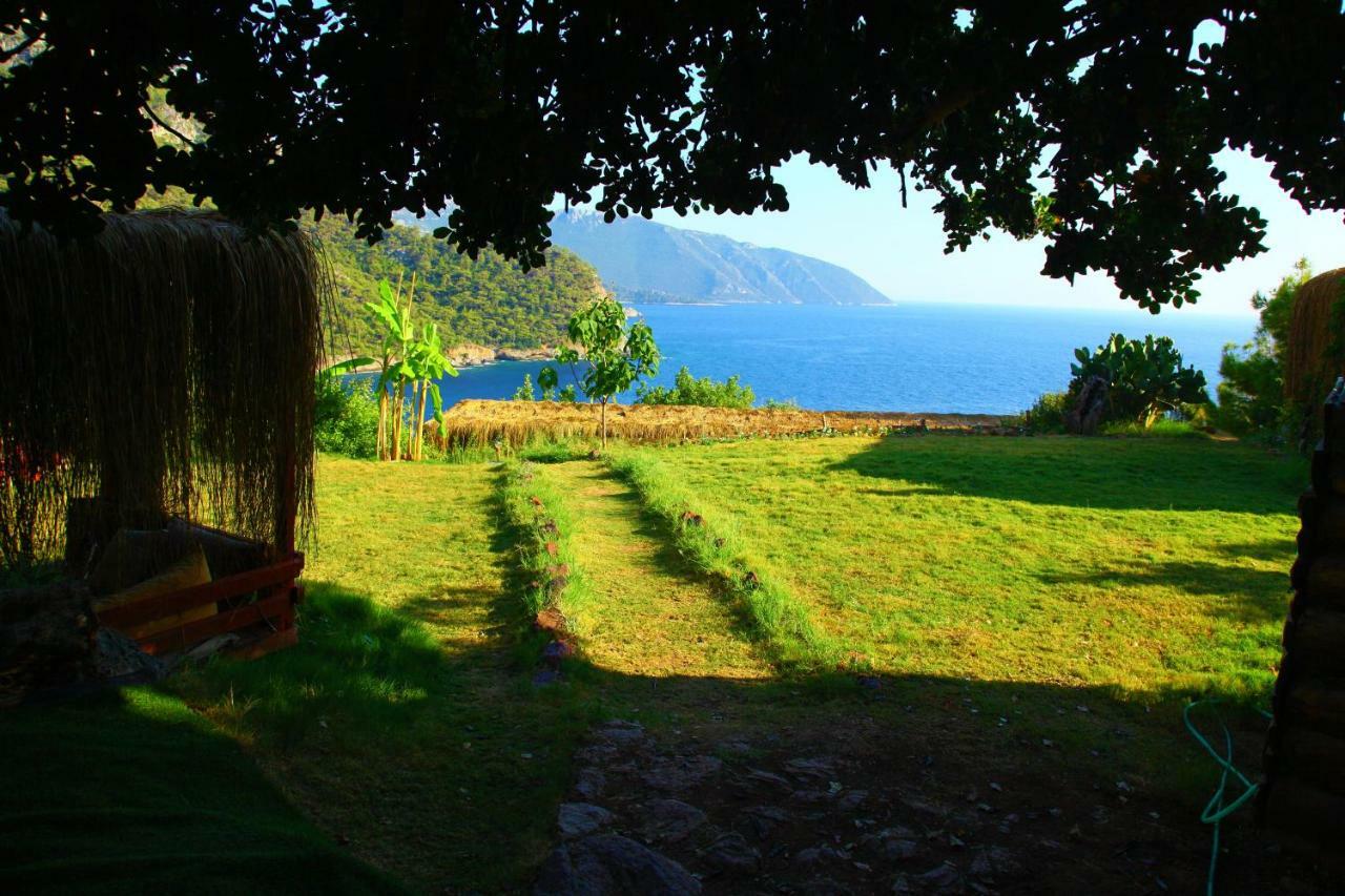 Cosmos Lounge Campsite Fethiye