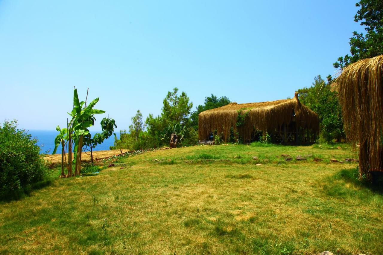 Cosmos Lounge Campsite Fethiye