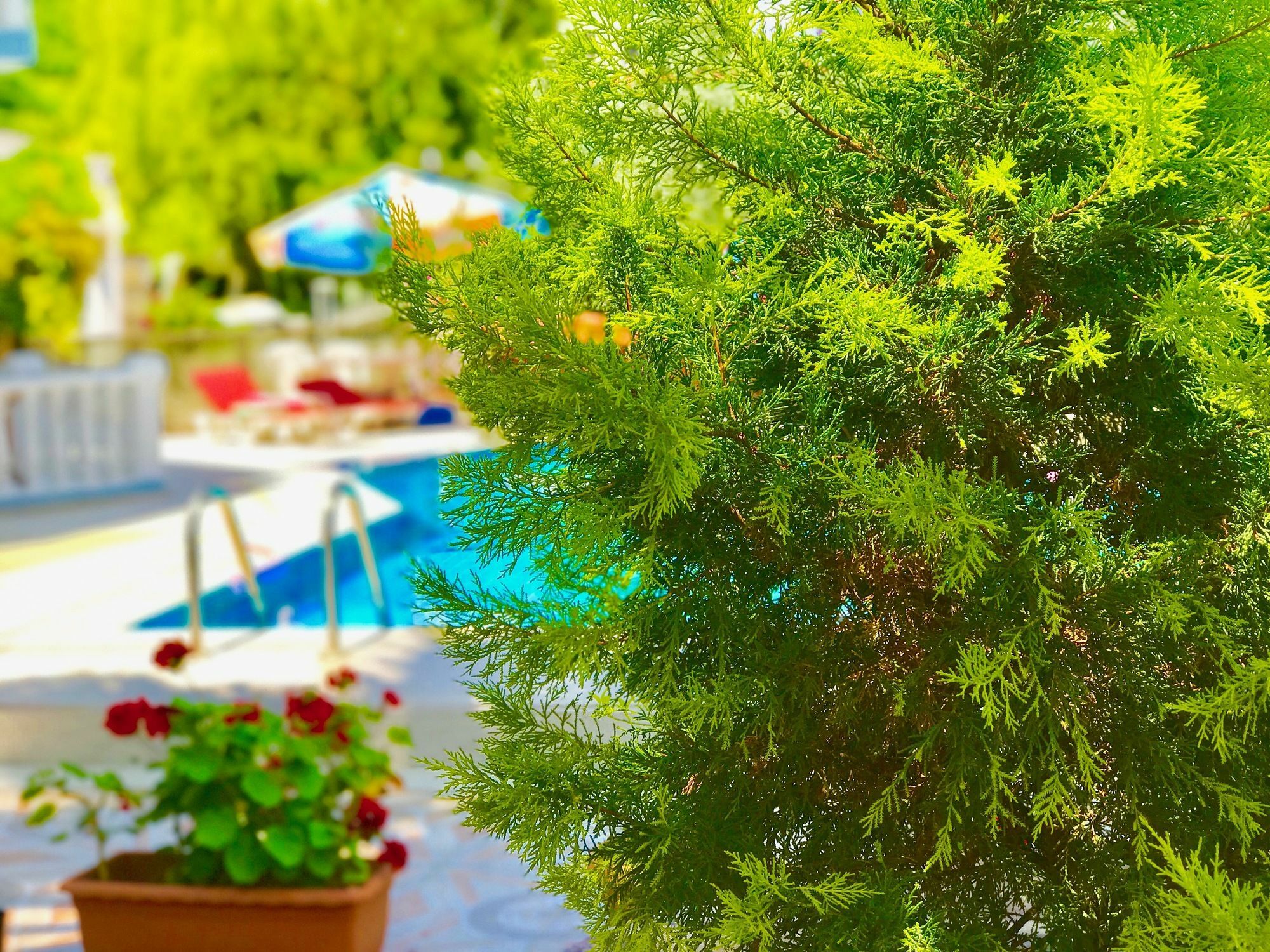 Nehir Apart Otel Fethiye
