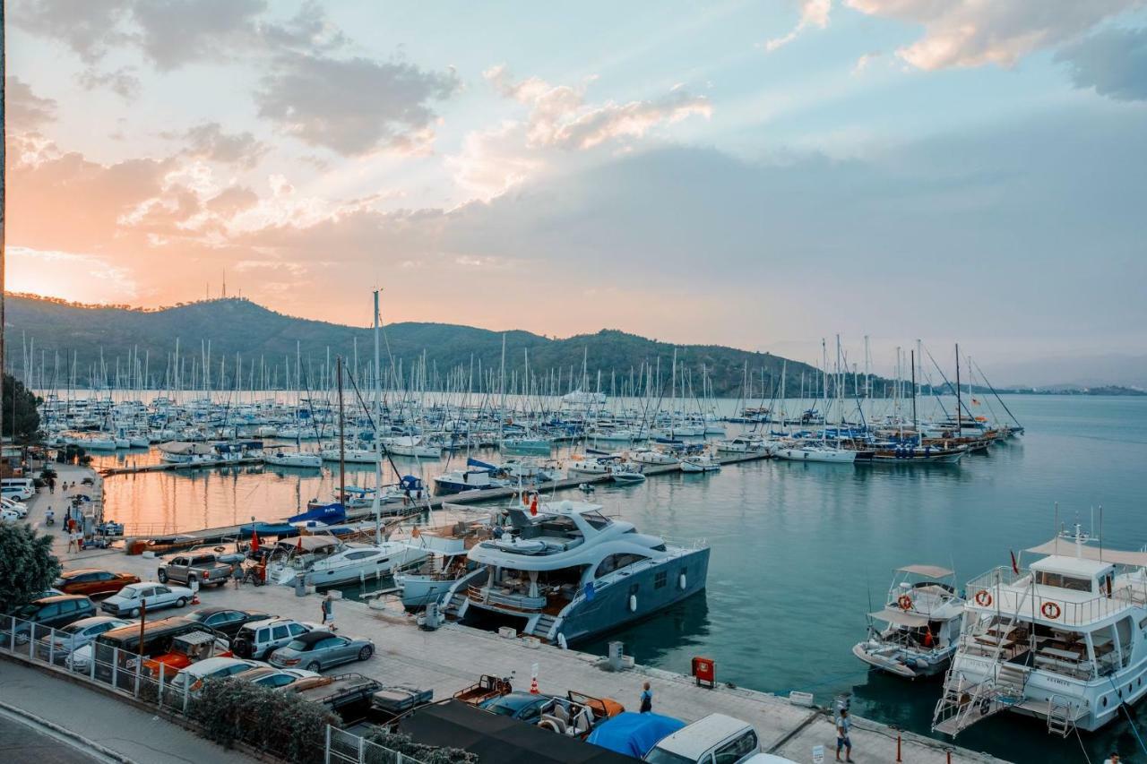 Harbour 2*
