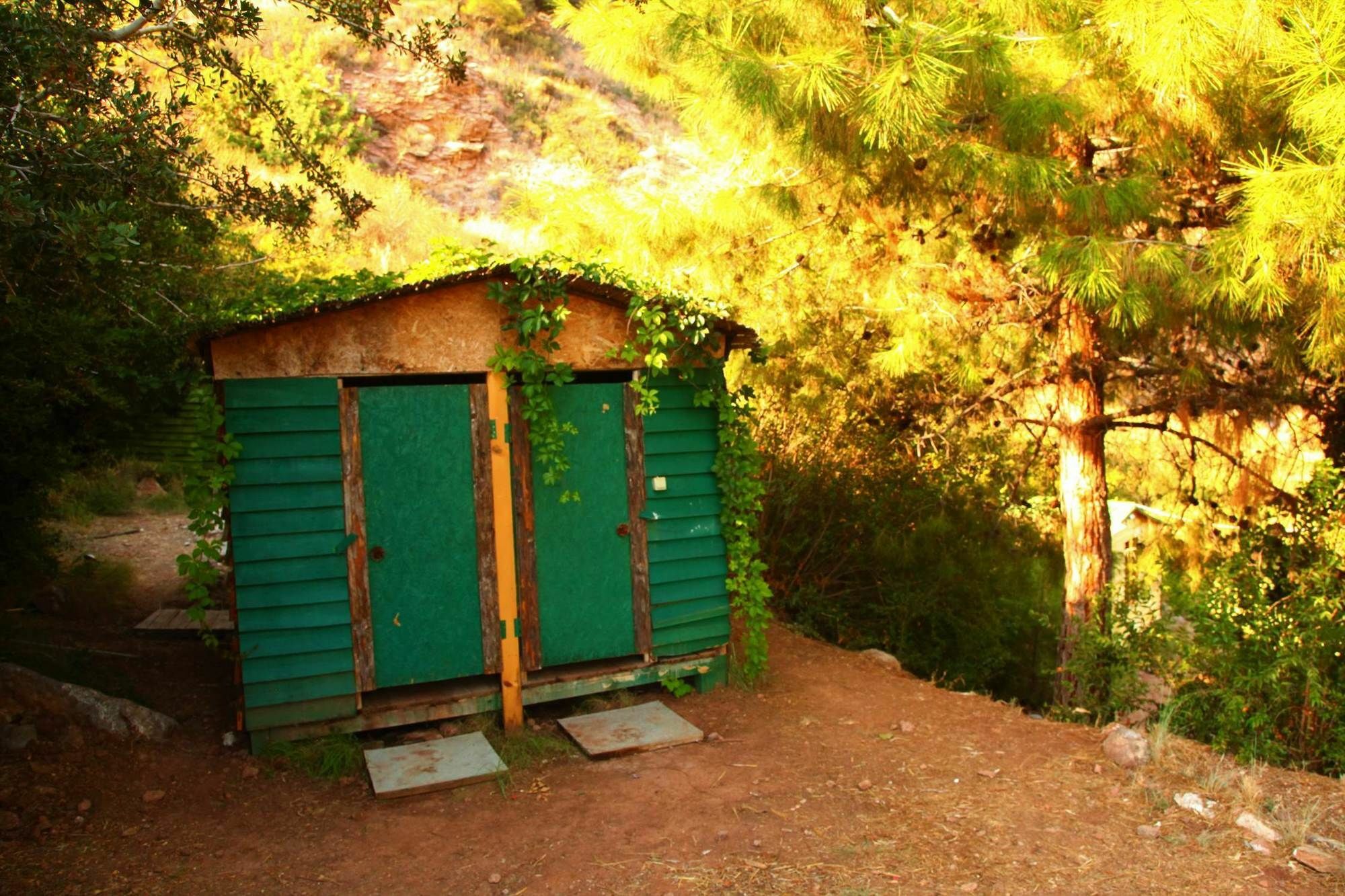 Cosmos Lounge Campsite *