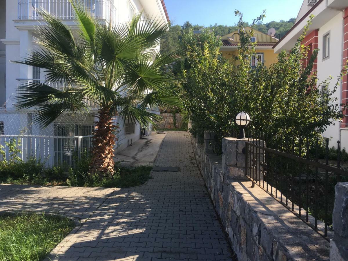 Infinity Olympia Daire