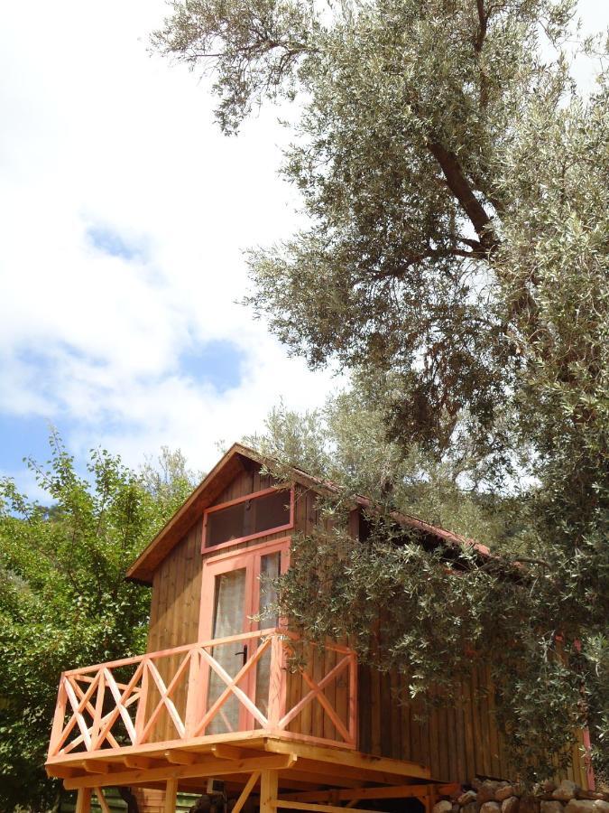 Kamp alanı Sultan Camp *