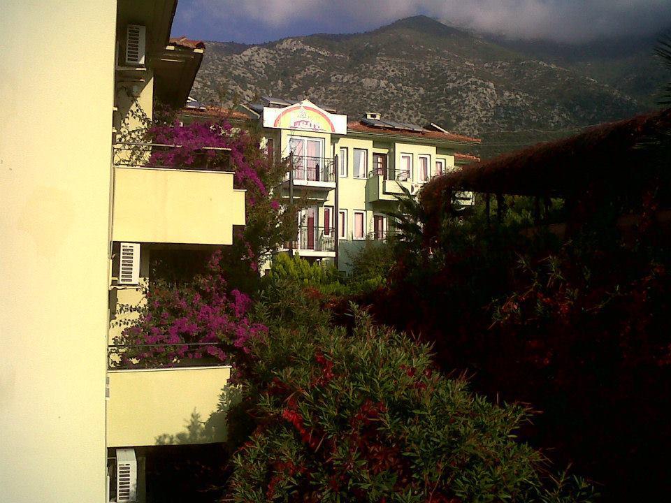 Leda Fethiye