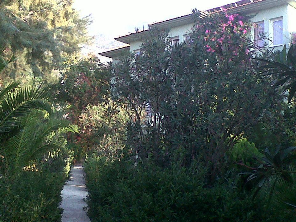 Hotel Leda