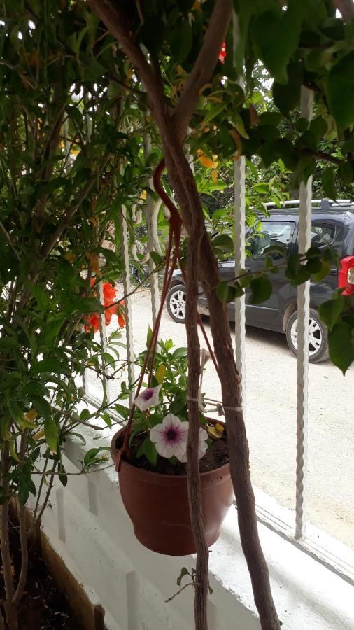 Stella City * Fethiye