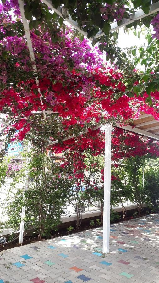 Stella City * Fethiye