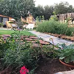 Tiny House Kayakoey Nar