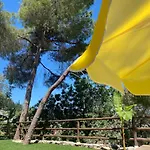 Kaktus Suites 1