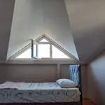 Sunshine Guest House With Terrace