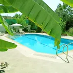 Villa Fish
