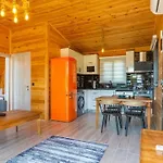 Villa Zeytin Havuzlu Jakuzili