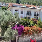 Olive Apartments 1 Bedroom