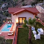 Olive Vista