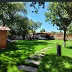 Villa Miro House