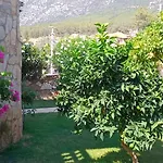 Villa Palm