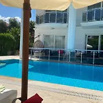 Palm Villa