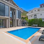 Villa Arslanevi