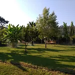 Yesil Bahce Bungalow - Ahsap Evler