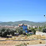 Pinara 9