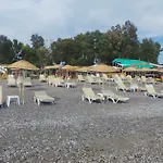 Ceviz Apart