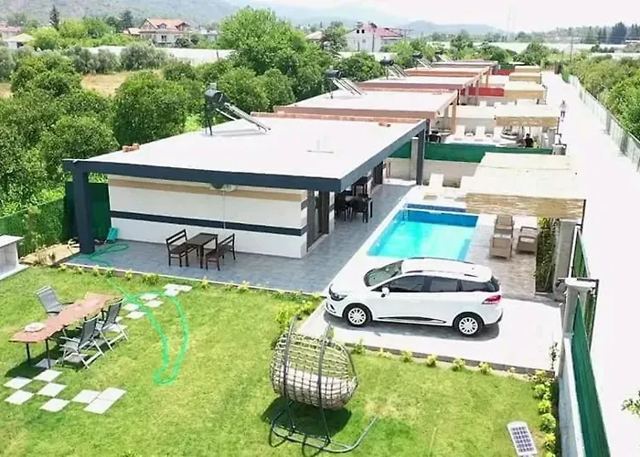 Portakal Cicegi 1