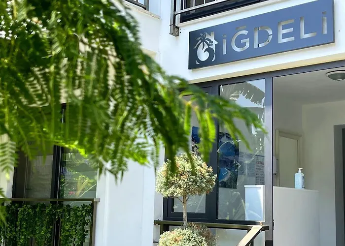 Igdeli Aparts