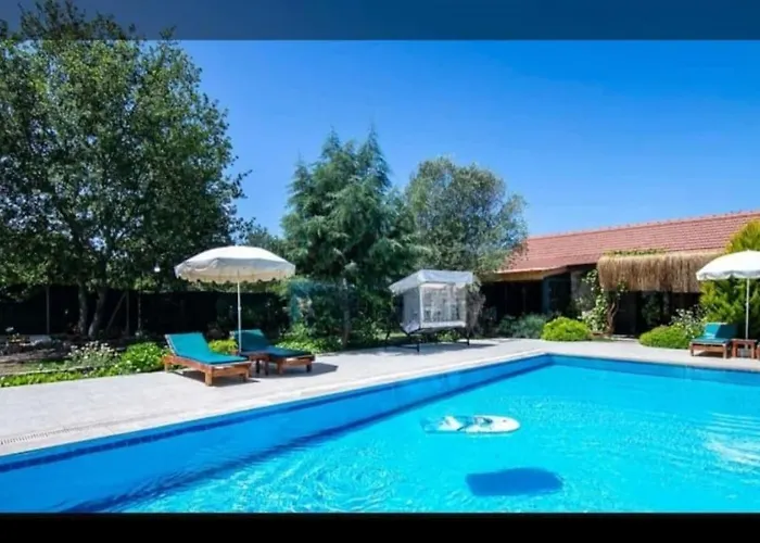 Villa Pitzer 2