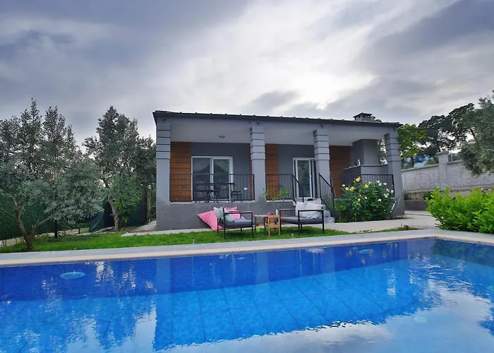 Villa Olive Garden House