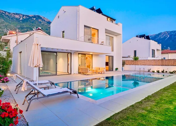 Villa Ion Indoor Heated Pool, Sauna, Jacuzzi, Underfloor Heating System