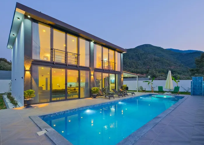 Havuz Jakuzili Luex Villa