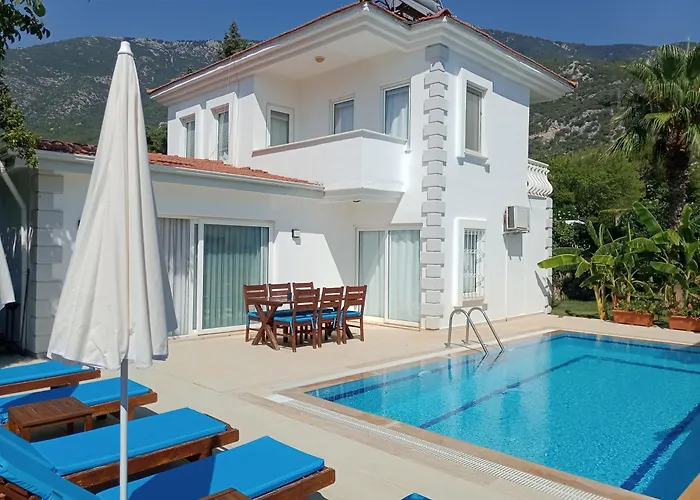 Villa Palm