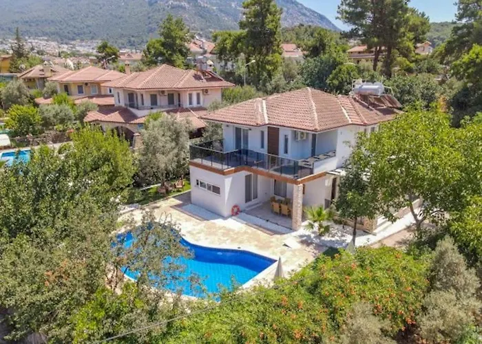 Villa Seyir