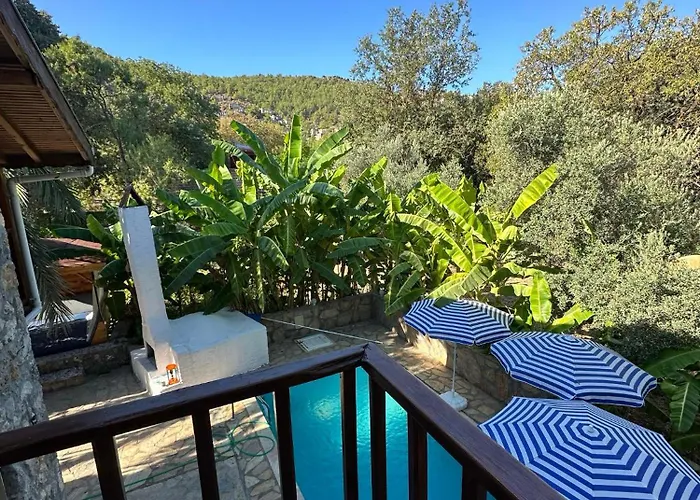 Villa Plum Garden