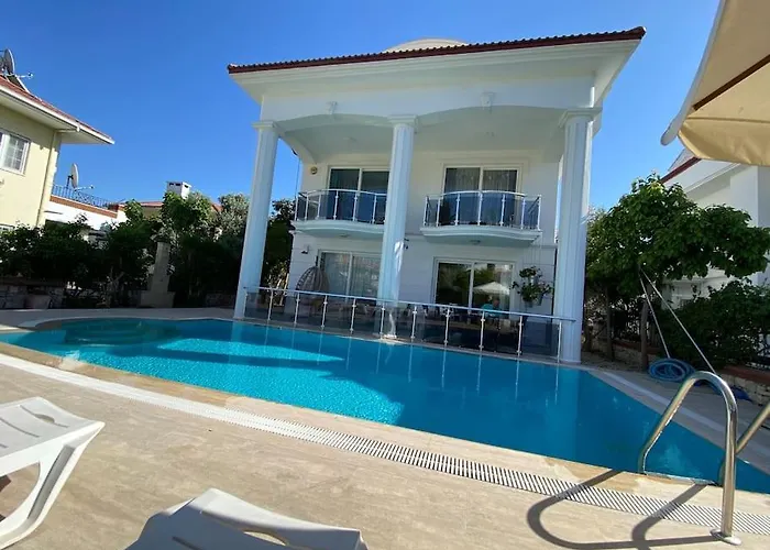 Palm Villa