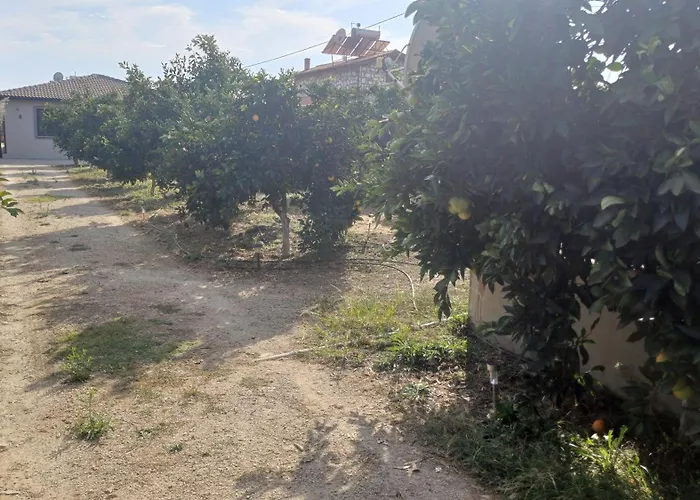 Villa Ayla
